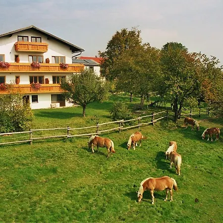 Biobauernhof Wolf-hof Appartement