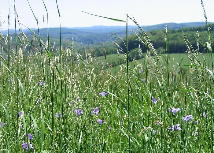 Biobauernhof Wolf-Hof *