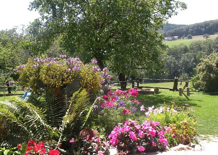 Biobauernhof Wolf-Hof Apartment *