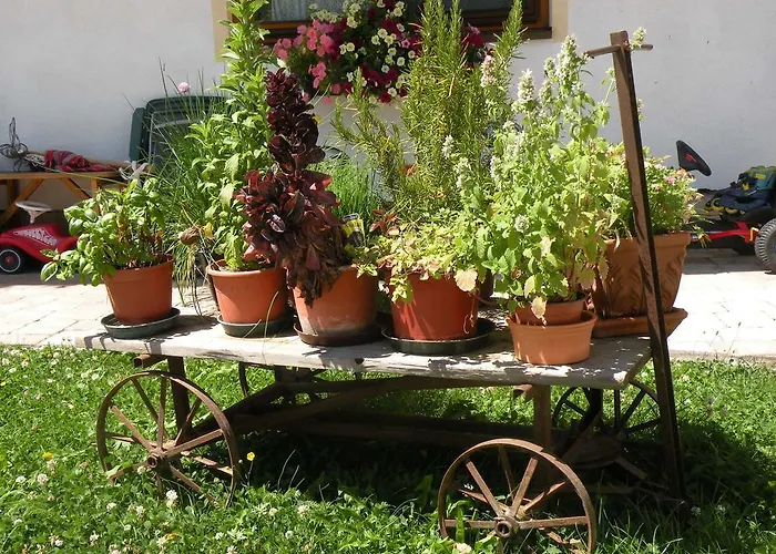Biobauernhof Wolf-Hof * Pressbaum